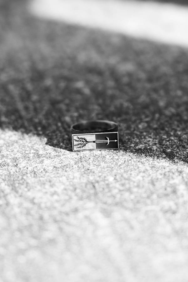urban sterling providence argentium silver signet ring