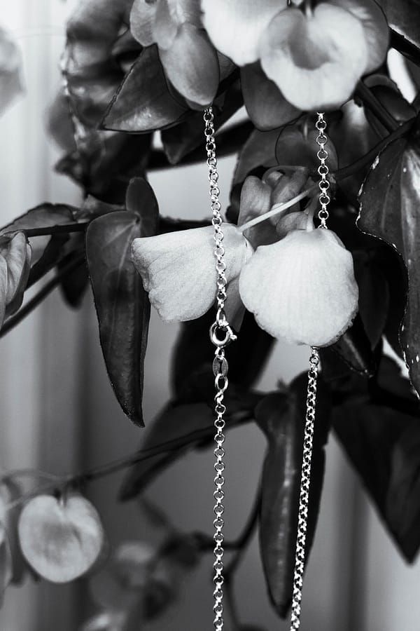 urban sterling ashen chain necklace